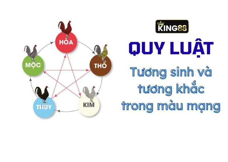 Màu mạng gà đá tuân theo quy luật tương sinh và tương khắc Màu mạng gà đá tuân theo quy luật tương sinh và tương khắc